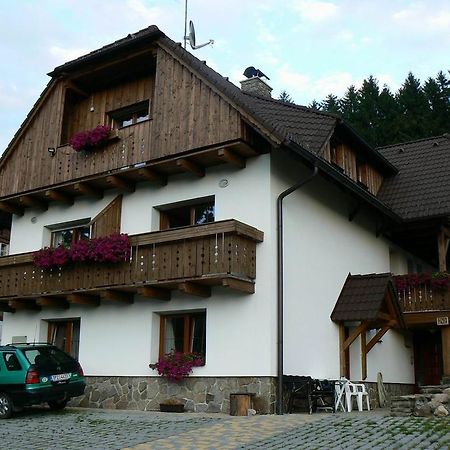 Apartmany U Vacu Zelezna Ruda Luaran gambar