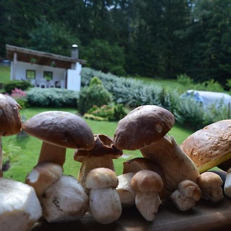 Apartmany U Vacu Zelezna Ruda Luaran gambar