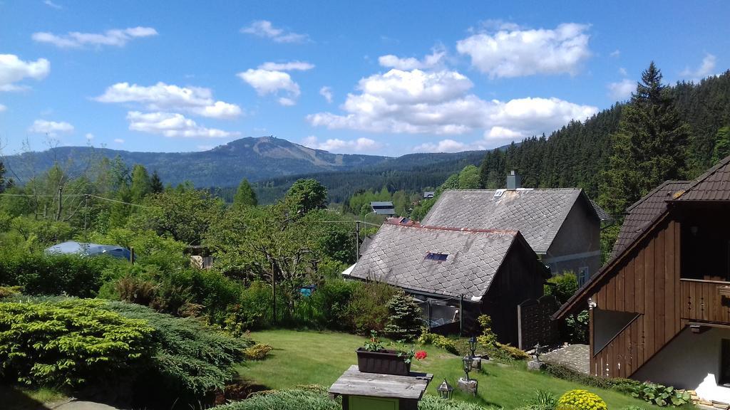 Apartmany U Vacu Zelezna Ruda Luaran gambar